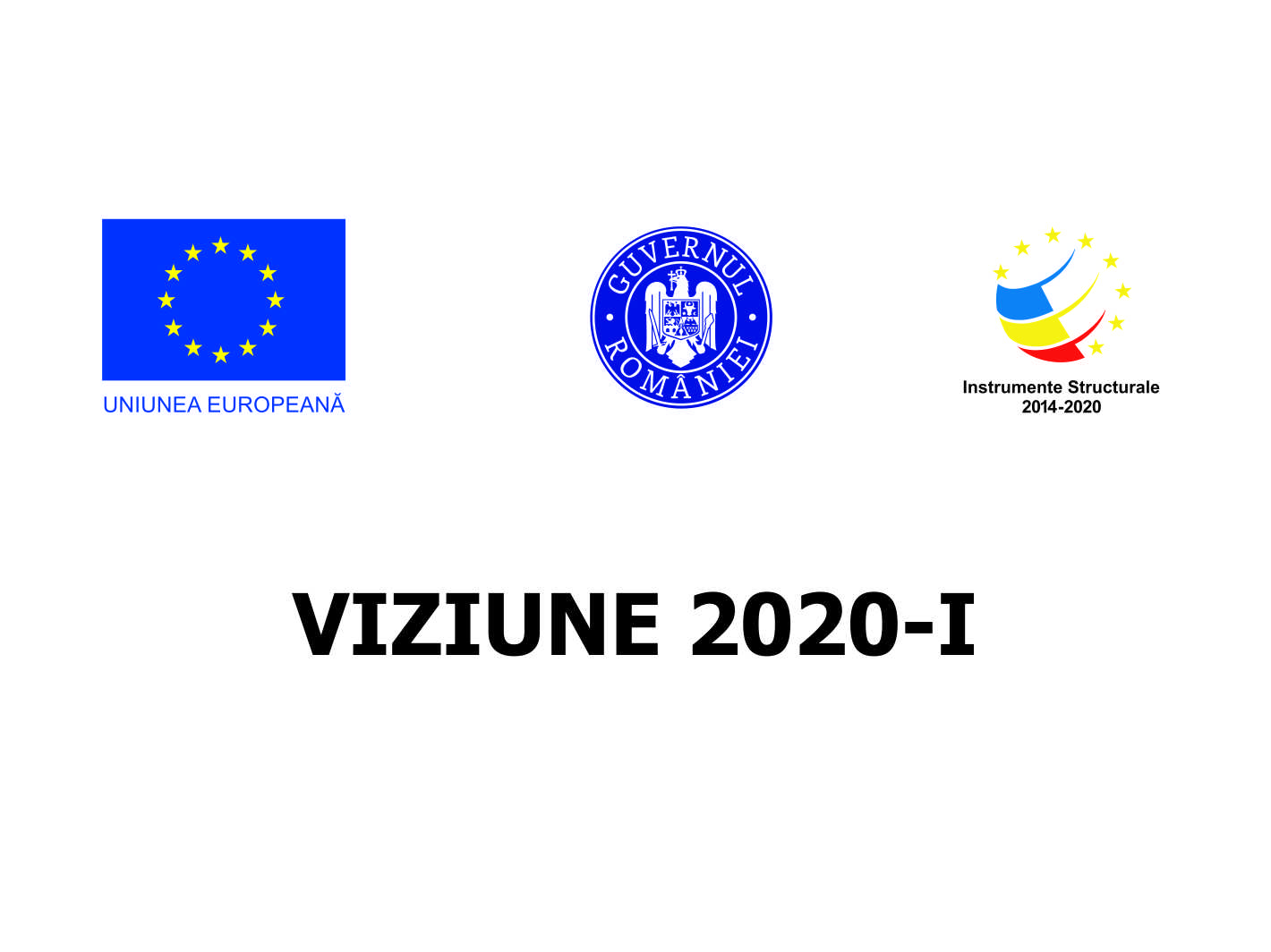 Proiect Viziune 2020 - I